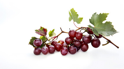 Red Grapes Isolated on White