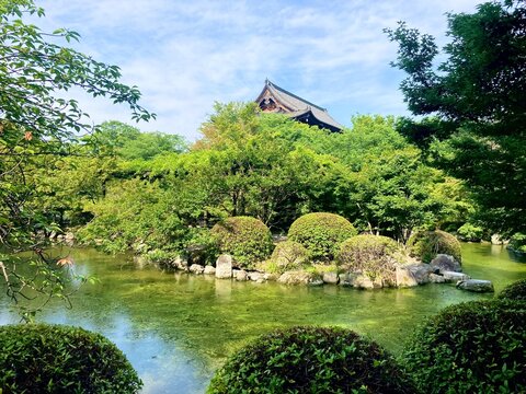 Toji