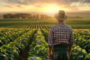 The farmer is watching the crop grow