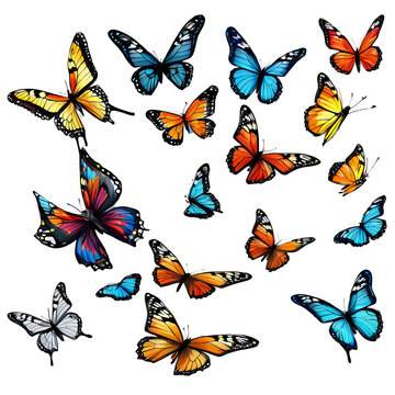 Collection of vibrant butterflies in flight, isolated on transparent background Transparent Background Images