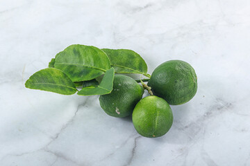 Fresh juicy ripe green lime