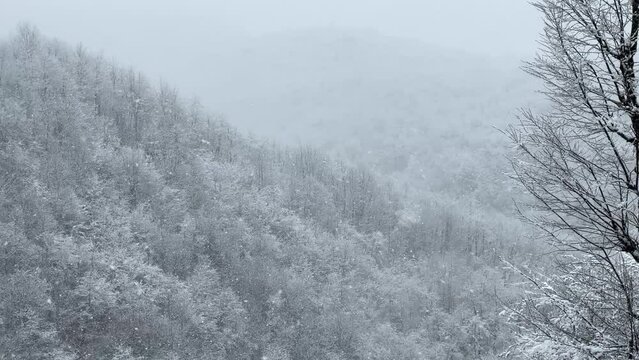 forest trees on frozen hill covered by heavy snow in winter season Hyrcanian forest nature minimal scenic landscape of wonderful winter snow environment nature protection in rural village countryside