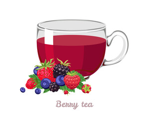 Wild berry tea. Glass cup with hot drink and fresh berries. Vector cartoon illustration.
