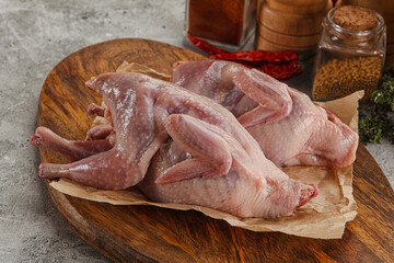 Raw gurmet quail bird preparation