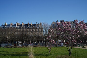Jardin des Tuileries(Paris France)