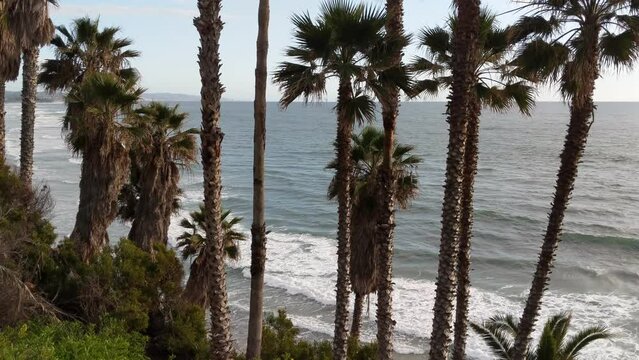 Southern California beach scenes with sunsets, surfers, tide pools and palms trees at Swamis Reef Surf Park and Moonlight Beach in Encinitas California.