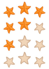 Fototapeta na wymiar star with starfish vector illustration for level game UI UX