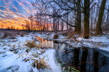 Beautiful winter sunrise on the forest glade