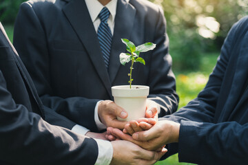 Earth Day Environmental, Business hands holding a plant pot with green plants in the ground together symbolizes green business company and green business cooperation.