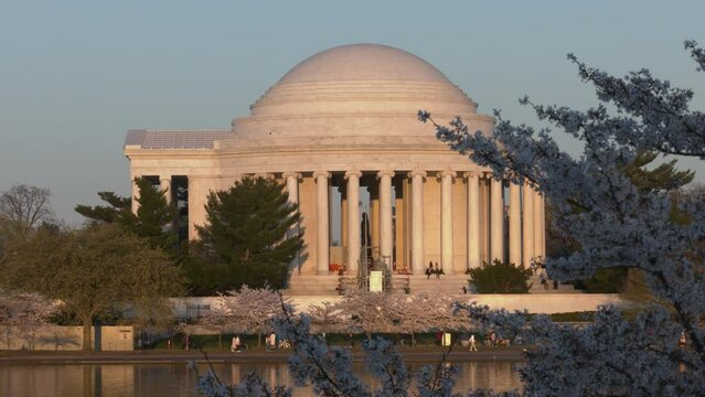 Jefferson Memorial at sunset during cherry blossom season in Washington, D.C.