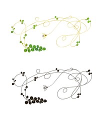 ミツバチとクローバー