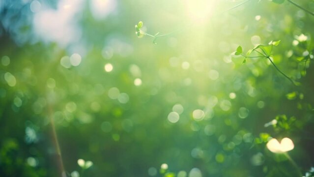 Nature's Green Meadow: Bright Summer Illustration with Shiny Grass and Bokeh	
