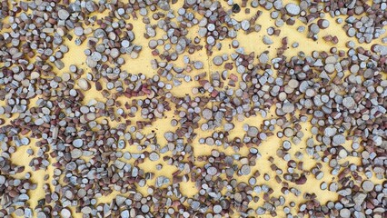 texture background