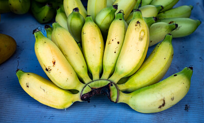 lady finger banana philippines

