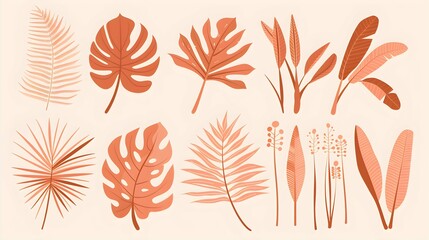 Set of exotic palm leaves of various shapes and sizes vector illustration on a light background. Tropical plants. Terracotta color plant collection in flat style. Elements for ecological design 