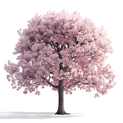 Obraz premium cherry blossom tree on transparent background