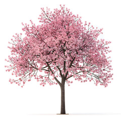 cherry blossom tree on transparent background - obrazy, fototapety, plakaty