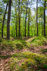 The Richmond National Battlefield Park commemorating 13 American Civil War sites around Richmond, Virginia