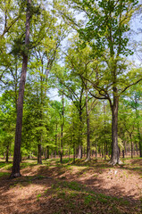 The Richmond National Battlefield Park commemorating 13 American Civil War sites around Richmond, Virginia