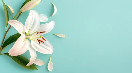 Foto auf Glas White lily flower on matching background with copy space - beauty spa wellness natural cosmetics concept © PSCL RDL
