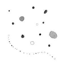 種　模様　胞子