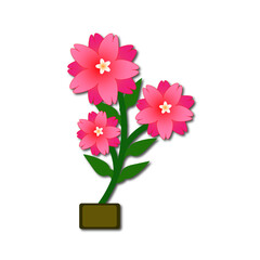 pink flower
