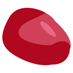 Pomegranate Fruit Illustration