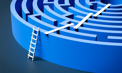 Ladder and planks used to cheat the maze