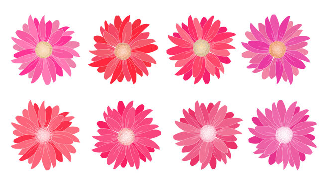 Set of pink flowers vector illustration. White background.