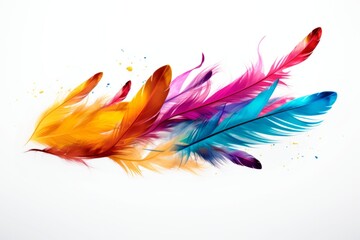 Banner of colorful feathers on white background