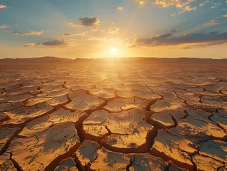 Fotobehang cracked earth in the desert © Anuson