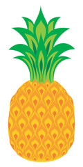 pineapple isolated on White background. tropical fruit . Tropic exotic fruits. Fresh concept design Vector illustration