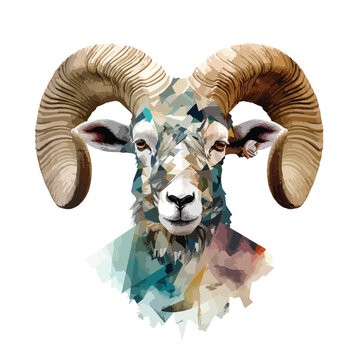 Abstract art collage Big horn sheep on humans body 