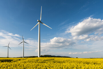 Windpark im Rapsfeld