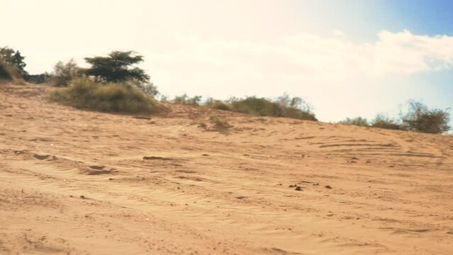The desert of Rajasthan is also known as the great Indian desert. The Thar desert of Rajasthan is known for its undulating dunes, which differ in size throughout the desert.