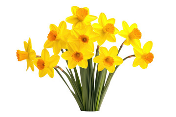Yellow Flowers in Vase on Table. On a White or Clear Surface PNG Transparent Background.