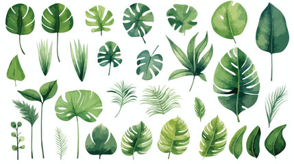 Plant elements. tropical collection. illustration 