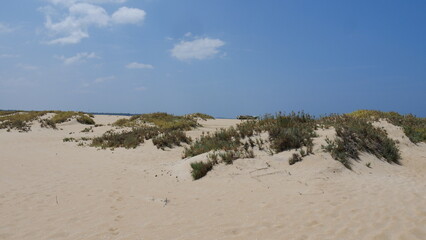 Impressions from Sri Lanka vacation