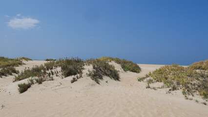 Impressions from Sri Lanka vacation