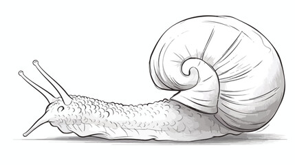 Sketch of snail vector illustration for your design