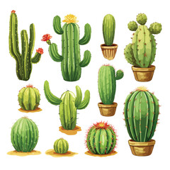 Cactus clipart isolated on white background