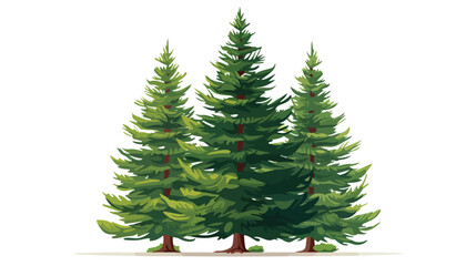 Spruce Tree Isolated on white background flat vector
