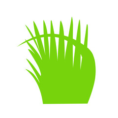 Green grass vector,Taper grass,simple,natural,organic,bio,eco labels and shapes on white background.