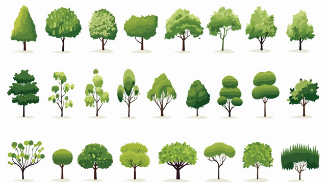 Trees ISolated collection flat vector