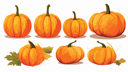 Vector illustration with pumpkins on a isolated background