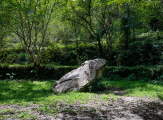 Big stone hidden in the forest looks like a frog, in Zhongken historic trail, New Taipei City, Taiwan.