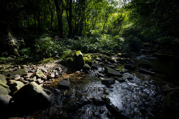 Sunlight shine through the forest on the river and rocks, next to the hiking trail, in New Taipei City, Taiwan.