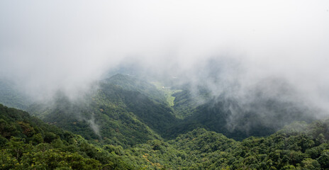 fog coverd the valley, sight from the mountain peak, in Keelung City, Taiwan.