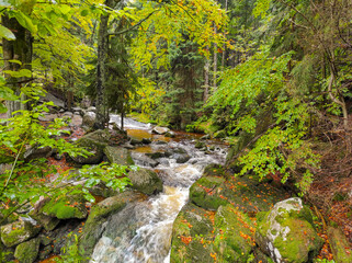 kamienna river in autumn. karkonosze national park. szklarska poreba, poland © Svitlana