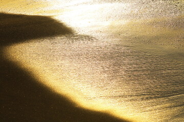 金色に輝く浜辺